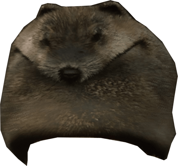beaver_mountain_hat-min