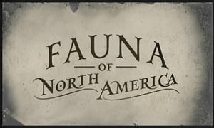 fauna_of_north_america