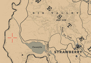 point-of-interest-pagan-ritual-west-elizabeth-red-dead-redemption-2_small