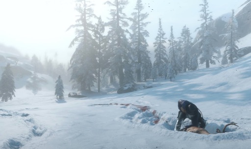 Arthur finds a wounded Stag