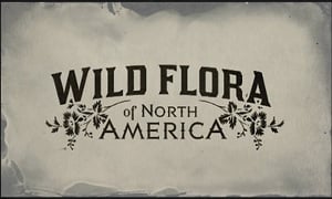 wild_flora